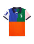 Polo Ralph Lauren Tricou azuriu / verde iarbă / roz / roșu orange - Pled.ro