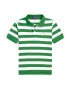 Polo Ralph Lauren Tricou galben auriu / verde / alb - Pled.ro