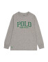 Polo Ralph Lauren Tricou gri amestecat / verde / alb - Pled.ro