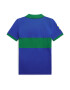 Polo Ralph Lauren Tricou safir / galben / verde - Pled.ro