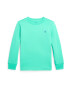 Polo Ralph Lauren Tricou verde jad - Pled.ro