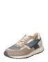 POMPEII Sneaker low 'MISTRAL' bej / gri / gri taupe - Pled.ro