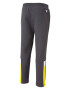 PUMA Pantaloni sport galben / gri grafit / negru / alb - Pled.ro