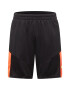 PUMA Pantaloni sport galben / roșu orange / negru - Pled.ro