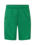 PUMA Pantaloni sport verde / alb - Pled.ro