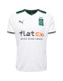 PUMA Tricot 'Borussia Mönchengladbach' verde / portocaliu / negru / alb - Pled.ro