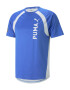 PUMA Tricou funcțional albastru regal / gri deschis / alb - Pled.ro