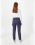 Ragwear Pantaloni 'Chesster' bleumarin - Pled.ro