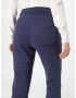 Ragwear Pantaloni 'Chesster' bleumarin - Pled.ro