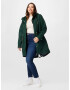 Ragwear Plus Parka de primăvară-toamnă 'CANNY' verde - Pled.ro