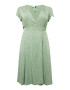 Ragwear Plus Rochie verde / alb - Pled.ro