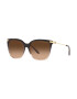 Ralph Lauren Ochelari de soare '0RL82095750018G' maro / maro închis - Pled.ro