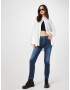 REPLAY Jeans 'FAABY' albastru denim - Pled.ro