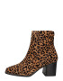 River Island Botine maro coniac / negru - Pled.ro