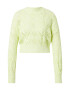 River Island Pulover 'POINTELLE' verde deschis - Pled.ro