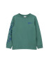 s.Oliver Tricou albastru marin / verde jad - Pled.ro