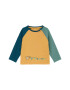 s.Oliver Tricou 'Raglan' galben miere / verde petrol / verde mentă - Pled.ro