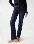 Salsa Jeans Jeans 'Secret' - Pled.ro