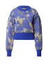 SCOTCH & SODA Pulover șamoa / albastru cobalt / albastru noapte / alb - Pled.ro