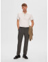 SELECTED HOMME Pantaloni 'Robert' gri închis - Pled.ro