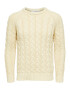 SELECTED HOMME Pulover 'BILL' galben pastel - Pled.ro