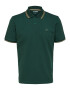 SELECTED HOMME Tricou 'Dante' bej / verde pin - Pled.ro