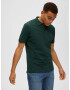 SELECTED HOMME Tricou 'Dante' maro deschis / verde închis - Pled.ro