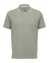 SELECTED HOMME Tricou 'Dante' verde pastel / alb - Pled.ro