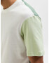 SELECTED HOMME Tricou 'Dominic' verde / verde deschis / alb - Pled.ro