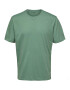 SELECTED HOMME Tricou 'Ventura' verde pastel - Pled.ro