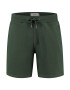 Shiwi Pantaloni 'Mavis' verde - Pled.ro