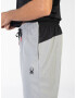 Spyder Pantaloni sport gri - Pled.ro