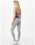 STEVE MADDEN Leggings gri închis / alb - Pled.ro