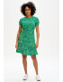 Sugarhill Brighton Rochie 'AMORET' verde / alb - Pled.ro