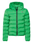 Superdry Geacă de iarnă verde - Pled.ro