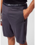 Superdry Pantaloni sport gri metalic - Pled.ro