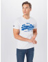 Superdry Tricou albastru regal / alb - Pled.ro