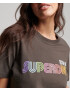 Superdry Tricou 'Vintage Retro Rainbow' maro - Pled.ro