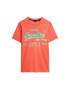 Superdry Tricou verde deschis / portocaliu - Pled.ro