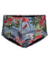 Swim by Zizzi Slip costum de baie 'Stania' albastru fumuriu / mai multe culori - Pled.ro