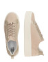 TATA Italia Sneaker low bej - Pled.ro