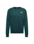 THE NORTH FACE Bluză de molton 'Raglan' galben / verde smarald / negru - Pled.ro