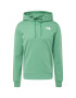 THE NORTH FACE Bluză de molton 'SEASONAL DREW PEAK' verde / alb - Pled.ro