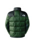 THE NORTH FACE Geacă de iarnă '6490' verde / negru / alb - Pled.ro