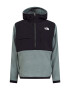 THE NORTH FACE Geacă de primăvară-toamnă 'Denali 2' verde stuf / negru / alb - Pled.ro