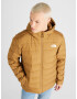 THE NORTH FACE Geacă outdoor 'Aconcagua 3' maro caramel / alb - Pled.ro