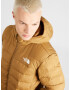 THE NORTH FACE Geacă outdoor 'Aconcagua 3' maro caramel / alb - Pled.ro