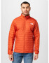 THE NORTH FACE Geacă outdoor 'CANYONLANDS' bronz / alb - Pled.ro