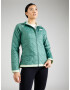 THE NORTH FACE Geacă outdoor 'CIRCALOFT' verde / alb murdar - Pled.ro