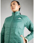 THE NORTH FACE Geacă outdoor 'CIRCALOFT' verde / alb murdar - Pled.ro